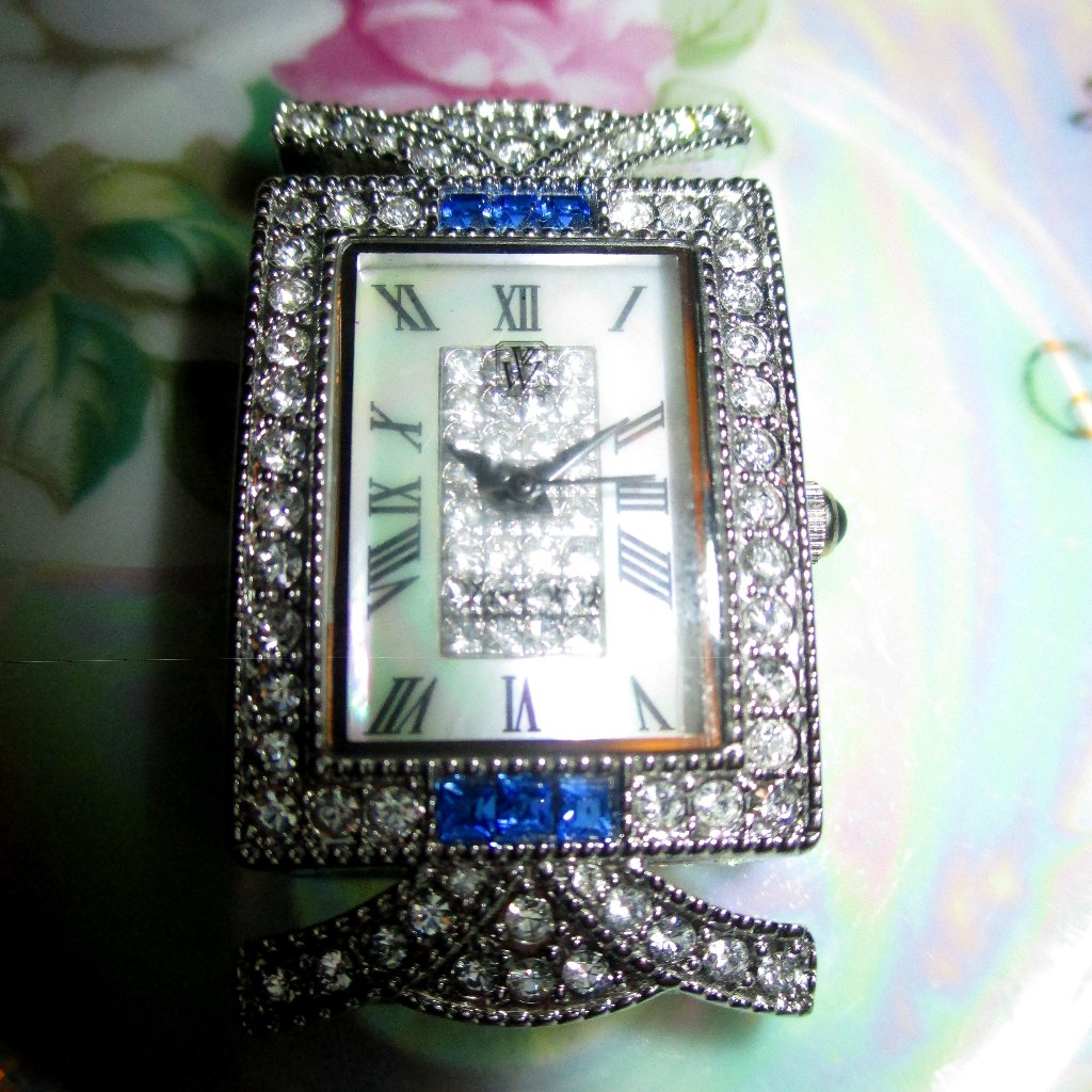 Victoria Wieck Collectable Watch